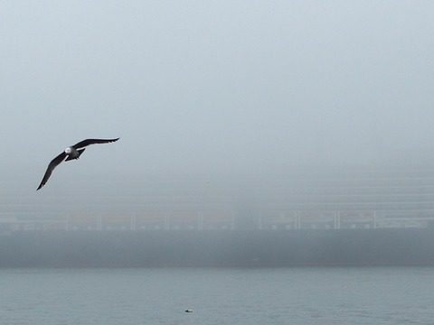 Ferries